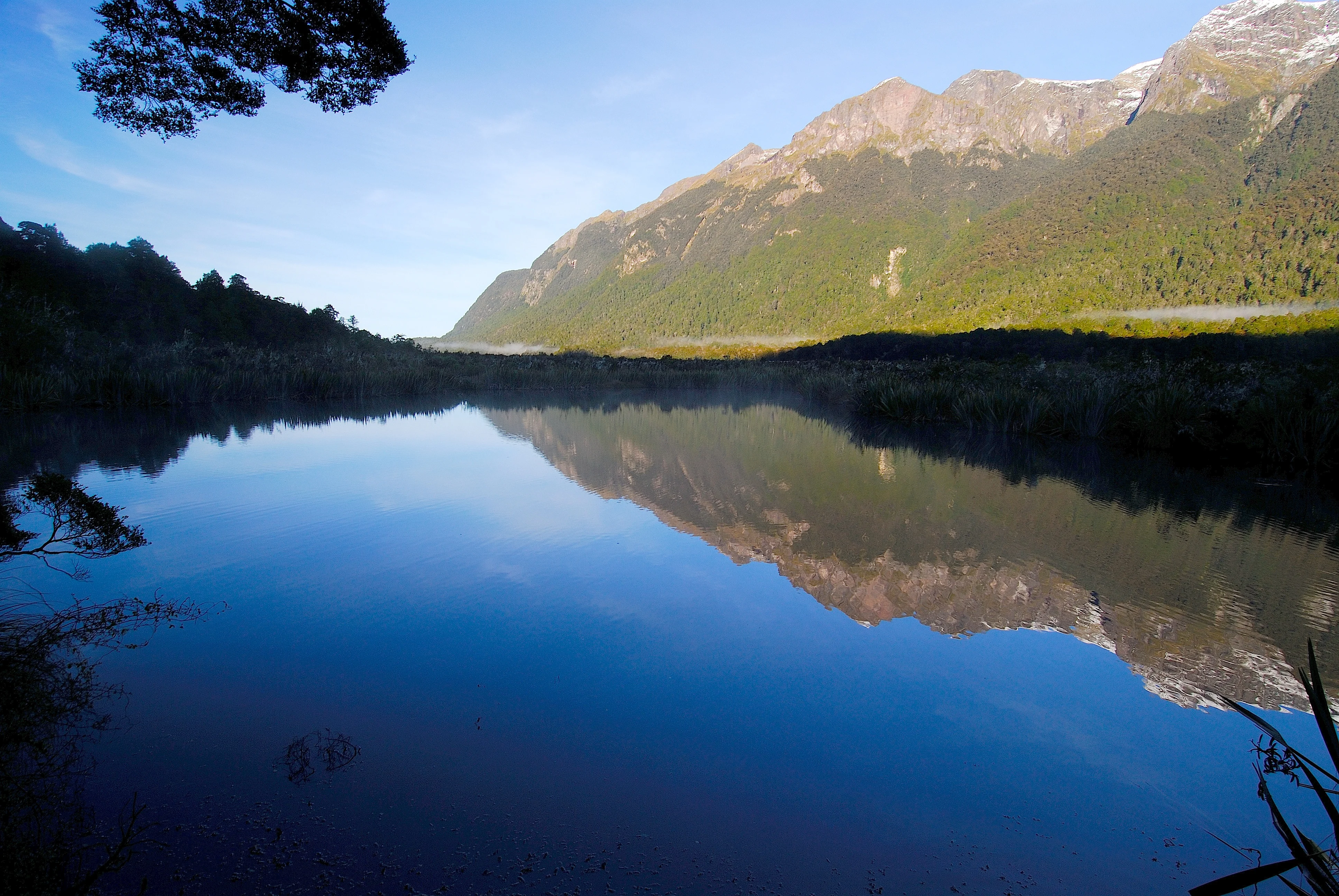 Fiordland